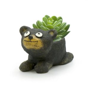 Paddy the Bear Cub Planter – 3.5″