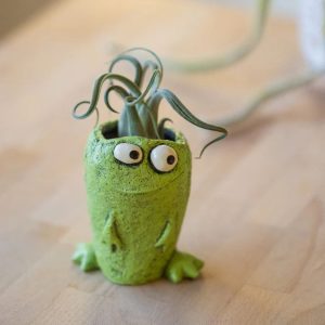 Orville the Frog Planter – 3.5″
