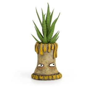 Rocky the Sea Anemone Planter – 3.5″