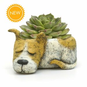 Sleepy Dog Planter