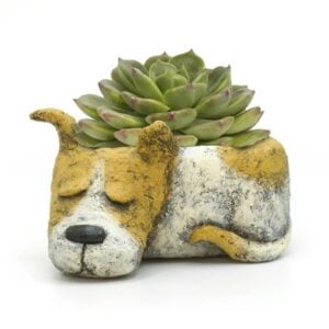 Luna the Sleepy Dog Planter – 3″