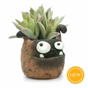 Boxer Dog Planter