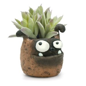 Duke the Boxer Dog Planter – 4″