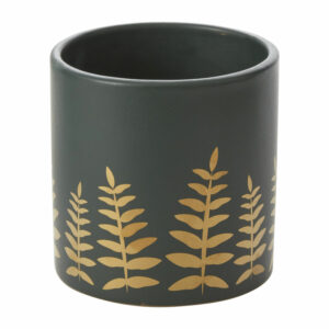 Midwinter Fern Pot – 5.25″