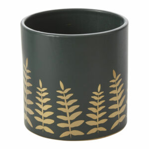 Midwinter Fern Pot