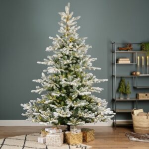 7.5′ Snowy Grandis Fir Tree