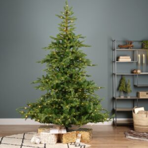 7.4′ Grandis Fir Tree