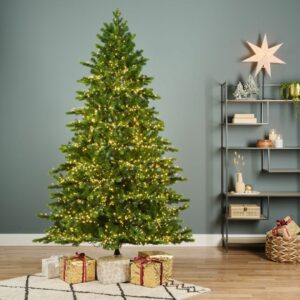 7.4′ Galloway Spruce Tree