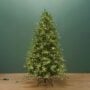 7.5′ Kensington Fir Tree