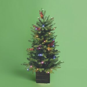 42″ Mountain Fir Potted Tree