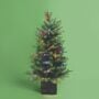 42″ Mountain Fir Potted Tree