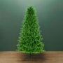 7′ Noble Fir Tree