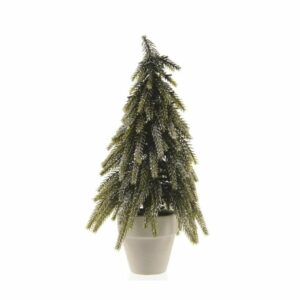 Mini Potted Fir Tree