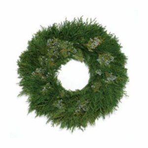 Cedar Juniper Wreath – 12″ Ring & 22″ Outer Diameter