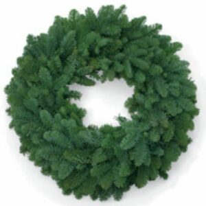 Noble Fir Wreath – 20″ Ring & 34″ Outer Diameter