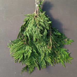 Western Red Cedar Bunch