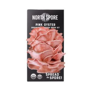 Pink Oyster Mushroom Kit - North Spore