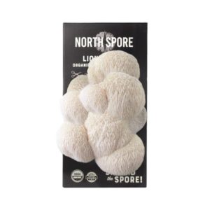 Lion's Mane Mushroom Kit - North Spore