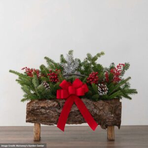 Mahoney’s Holiday Botanical Rectangle Log