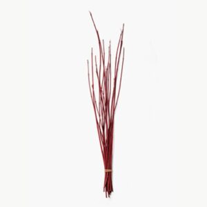 Dogwood Red Twig Bundle – Large