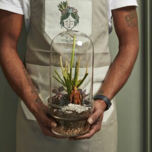 Griffith Terrarium – 12.5″