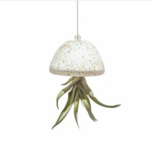 Apricot Mint™ Jellyfish Air Planter – White/Gold