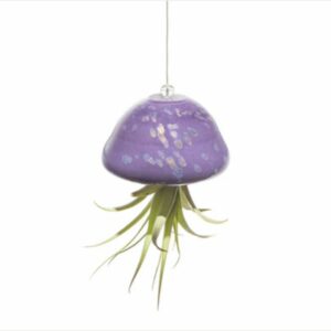 Apricot Mint™ Jellyfish Air Planter – Purple/Gold