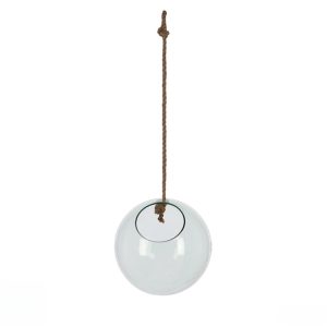 Hanging Glass Terrarium – Medium