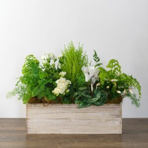 Frosted Fern Planter