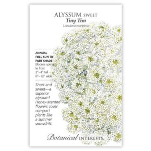 Botanical Interests – Alyssum Sweet – Tiny Tim Seeds