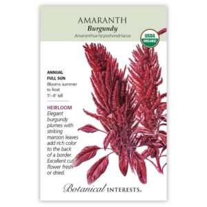 Botanical Interests – Amaranth – Burgundy Seeds – Organic