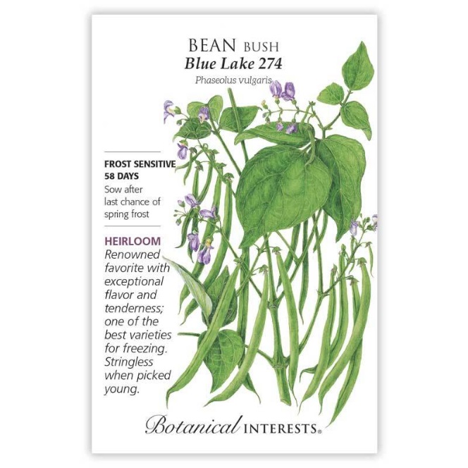 Blue Lake 274 Bush Bean Seeds - Conventional Heirloom