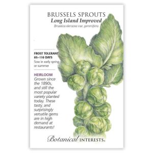 Brussels Sprouts Seeds – Botanical Interests – Long Island Improved