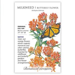 Milkweed / Butterfly Flower Seeds – Botanical Interests (Organic)