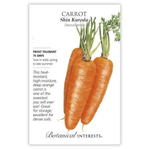 Carrot Seeds – Botanical Interests – Shin Kuroda