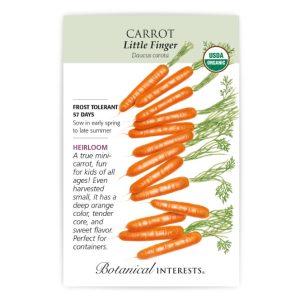 Carrot Seeds – Botanical Interests – Little Finger (Organic)