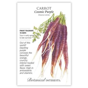 Carrot Seeds – Botanical Interests – Cosmic Purple