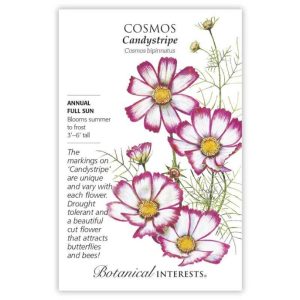 Cosmos Seeds – Botanical Interests – Candystripe
