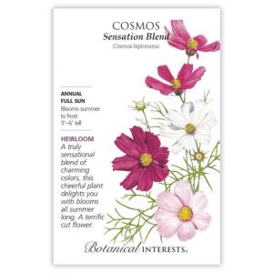 Cosmos Seeds – Botanical Interests – Sensation Blend
