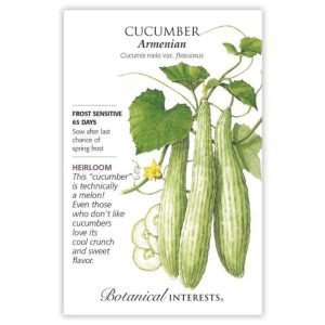 Cucumber Seeds – Botanical Interests – Armenian