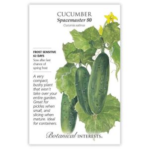Cucumber Seeds – Botanical Interests – Spacemaster 80