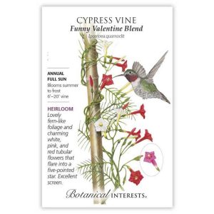 Cypress Vine Seeds – Botanical Interests – Funny Valentine Blend