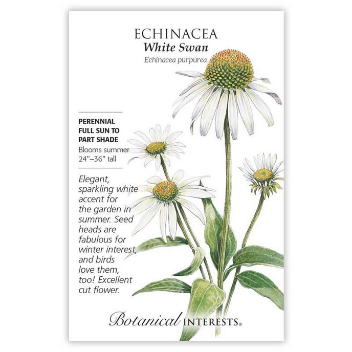 White Swan Echinacea Seeds