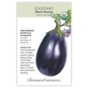 Eggplant Seeds – Botanical Interests – Black Beauty (Organic)
