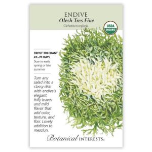 Endive Seeds – Botanical Interests – Olesh Tres Fine (Organic)