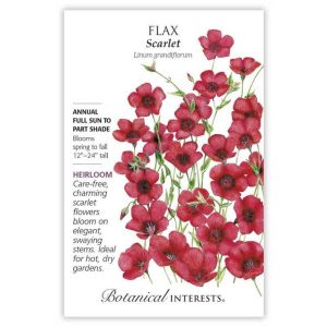Flax Seeds – Botanical Interests – Scarlet