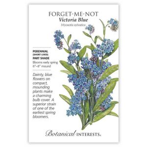 Forget-Me-Not Seeds – Botanical Interests – Victoria Blue