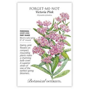 Forget-Me-Not Seeds – Botanical Interests – Victoria Pink