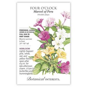 Four O’Clock Seeds – Botanical Interests – Marvel of Peru