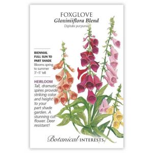 Foxglove Seeds – Botanical Interests – Gloxiniiflora Blend